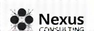 Nexus Consulting logo